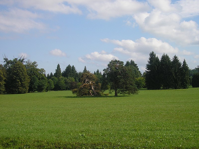 File:Arboretum Vinica (20).JPG