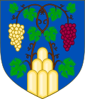 Arms of the house of Ruspoli.svg