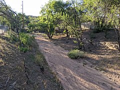 Arroyo de la Piedra at confluence with Arroyo Barranca