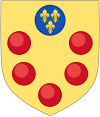 Ulepszone ramiona Medici.svg