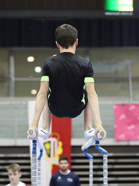 File:Austrian Future Cup 2018-11-23 Training Afternoon Parallel bars (Martin Rulsch) 0380.jpg