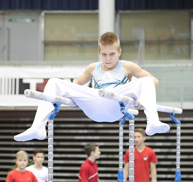 File:Austrian Future Cup 2018-11-23 Training Afternoon Parallel bars (Martin Rulsch) 0690.jpg