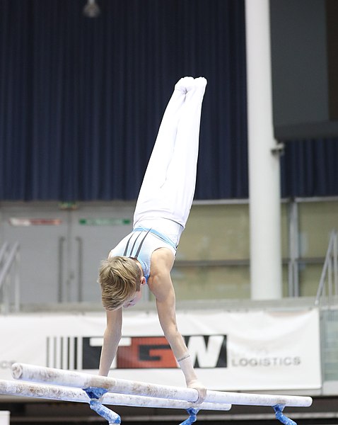 File:Austrian Future Cup 2018-11-23 Training Afternoon Parallel bars (Martin Rulsch) 0742.jpg