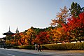 秋の高野山（和歌山県高野町）