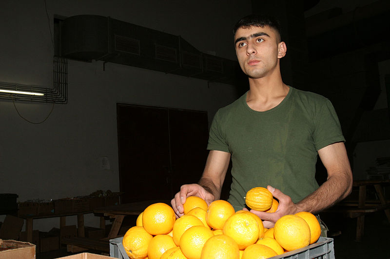 File:Azerbaijani soldier in Iraq 18.jpg