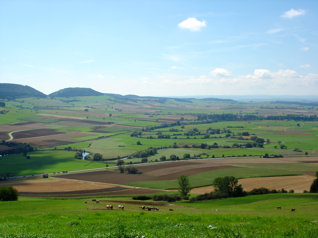 Baar (plateau)