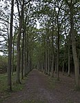 Baarnse Bos