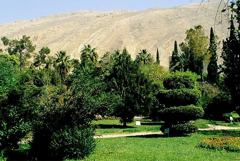 File:Bagh-e Eram (2000) 10.jpg