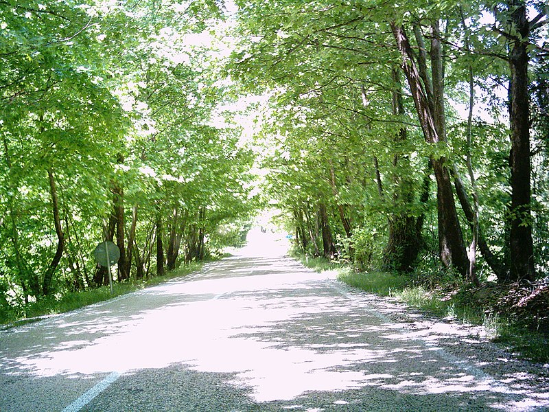 File:Bartın-Safranbolu yolu - panoramio.jpg