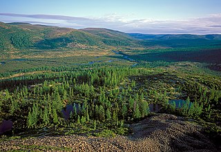 <span class="mw-page-title-main">Baikal-Lena Nature Reserve</span> Nature reserve in Irkutsk Oblast, Russia