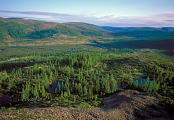 Rezervația naturală Baikal Lena