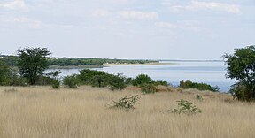 Uitsig oor die reservaat en Bloemhofdam