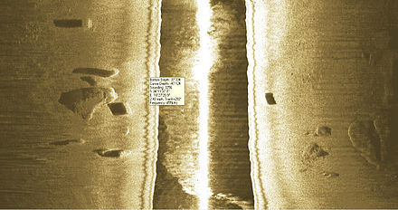 Sidescan sonar image of the boilers and reef at Boiler wreck #3. Boiler #3a is the rectangle to the left of the centreline dead area, and boiler #3b to the right