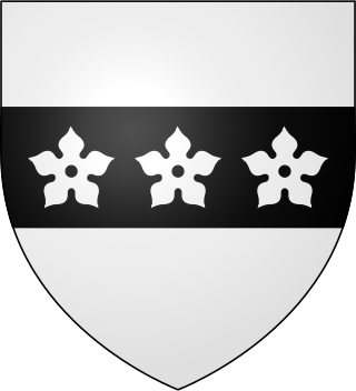 <span class="mw-page-title-main">Clan Boswell</span> Lowland Scottish clan