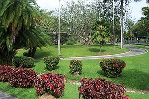 Real Jardín Botánico de Trinidad