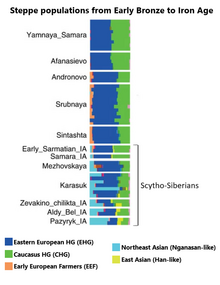 Genetic makeup of Bronze and Iron Age Steppe populations Bronze to Iron Age Steppe peoples genetic makeup.png