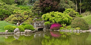 Jardim japonês Hill-and-Pond Garden do Jardim Botânico do Brooklyn, Nova Iorque (definição 9 600 × 4 800)