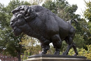 Buffalo statua creata da Alexander Phimister Proctor su Dumbarton Bridge, Q St. vicino all'incrocio con la 23rd St., NW, Washington, DC LCCN2010641513.tif