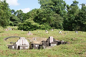 Bukit Brown Cemetery