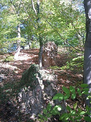 Castle remains