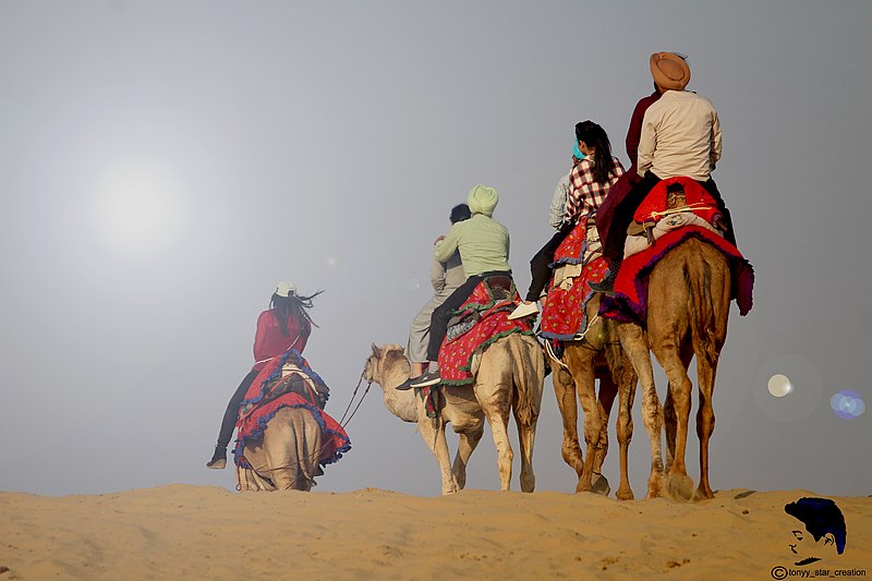 800px-Camel_rides_in_Thar_desert.jpg?profile=RESIZE_710x