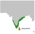 15:48, 9 சூலை 2011 இலிருந்த பதிப்புக்கான சிறு தோற்றம்