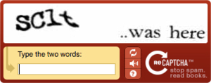 Captchacat.png