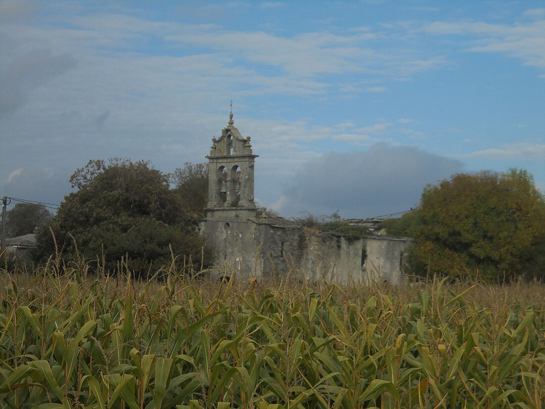 Caraño, Pol