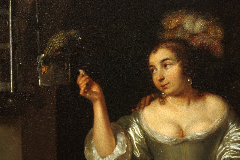 File:Caspar Netscher - A Lady with a Parrot and a Gentleman with a Monkey (1664) detail 01.jpg