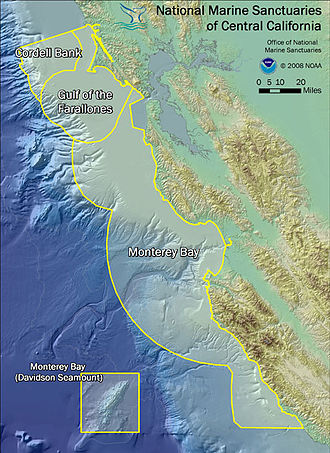 Diagram illustrating the orientation of the three marine sanctuaries of Central California: Cordell Bank, Gulf of the Farallones, and Monterey Bay. Central California Marine Sanctuaries.jpg