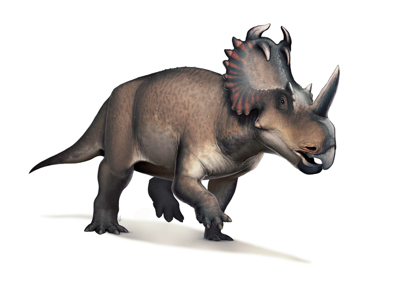 File:Centrosaurus.png