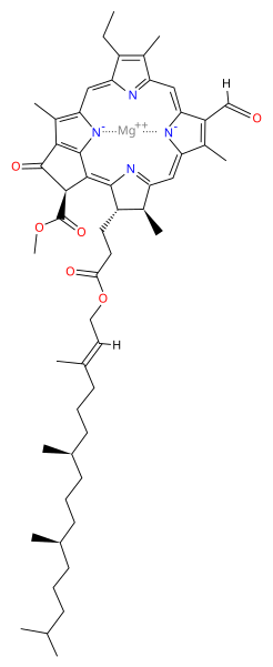 File:Chlorophyll d.svg