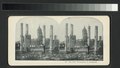 City Hall, Photographer in foreground (NYPL b11707478-G90F002 128F).tiff