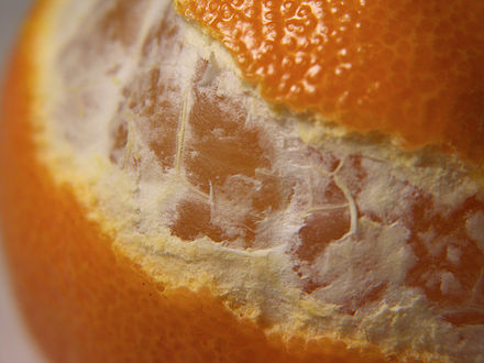 Clementines (Citrus ×clementina) have thinner skins than oranges.