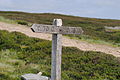 * Nomination Signpost for the Coast to Coast Walk --Kreuzschnabel 11:36, 7 August 2013 (UTC) * Promotion Good quality. --NorbertNagel 16:41, 7 August 2013 (UTC)