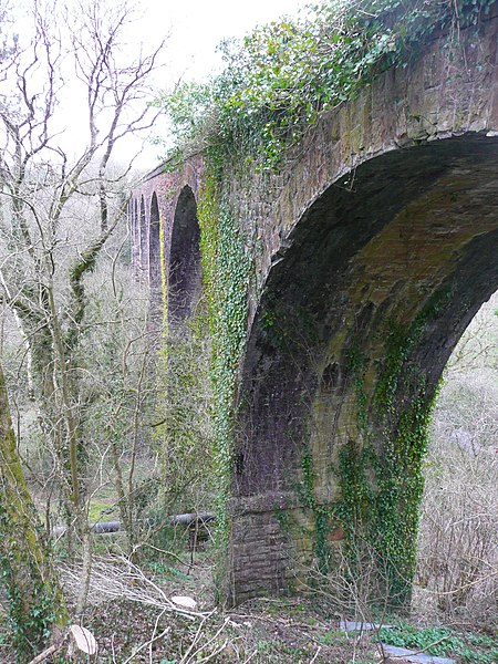 File:Coles Mill Viaduct, Holsworthy - geograph.org.uk - 1852865.jpg