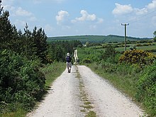 Country Lane - geograph.org.uk - 1337933.jpg