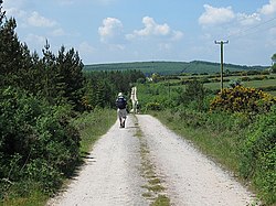 Country Lane - geograph.org.uk - 1337933.jpg