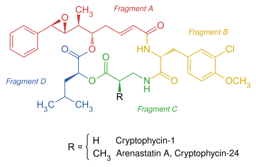 Strukturformel der Cryptophycine Cryptophycin-1 und Arenastatin A