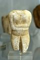 Cycladic figurine, female, torso, Keros, 2800-2300 BC, AM Naxos, 110041.jpg
