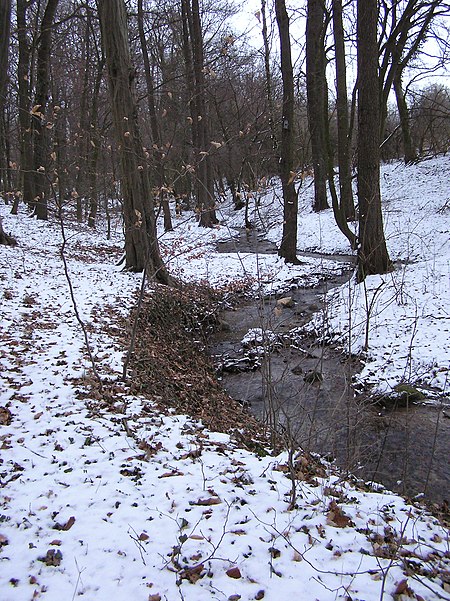 Dalbekschlucht P1250051