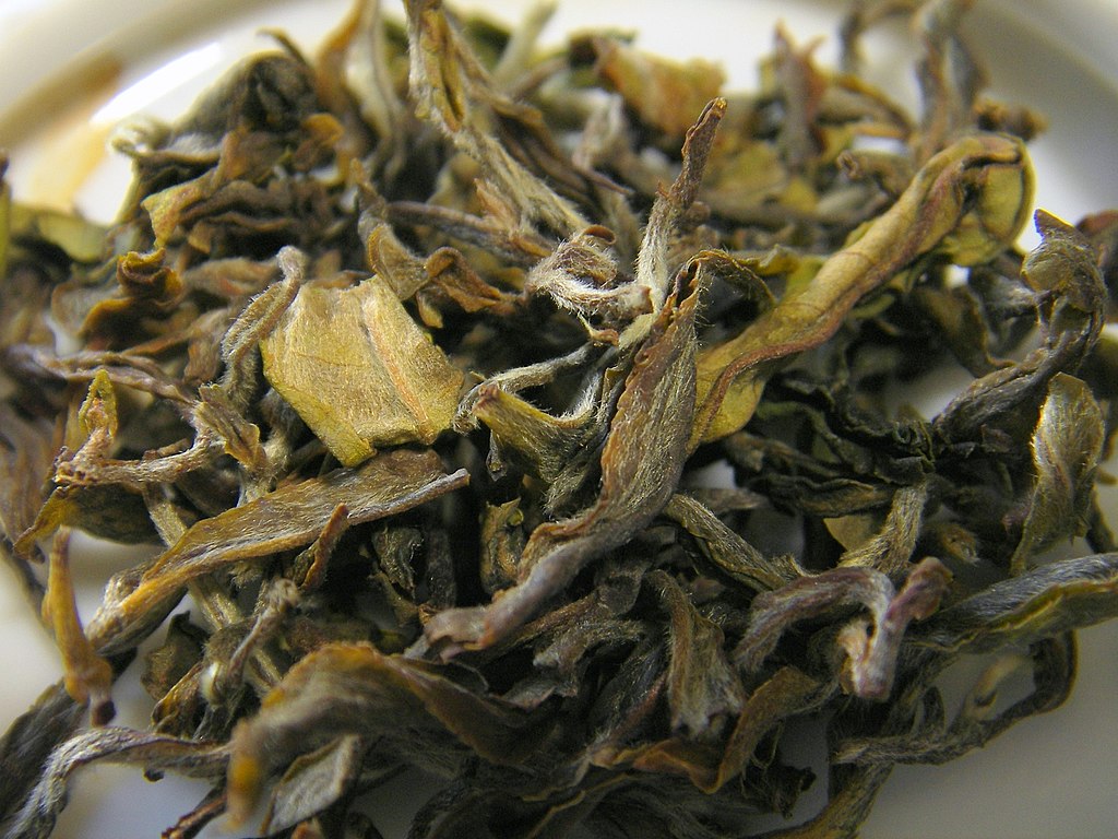 Darjeeling White Tea Health Benefits, Recipe, Side Effects