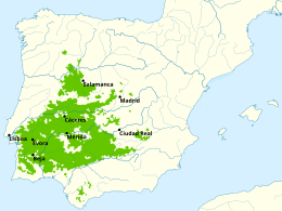 Dehesa in Spain and Portugal