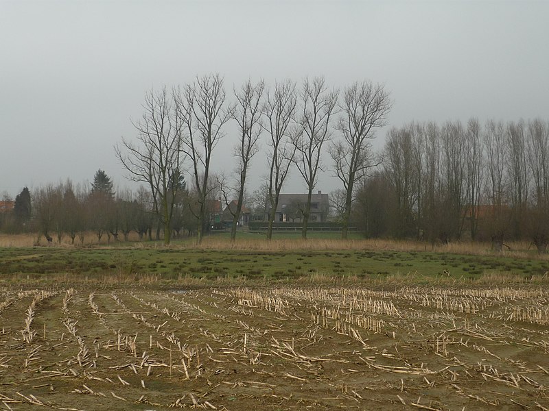 File:Deinze, Belgium - panoramio (2).jpg