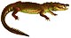 Deskripsi des reptil nouveaux, ou, Imparfaitement connus de la koleksi du Muséum d'histoire naturelle et remarques sur la klasifikasi et les caractères des reptil (1852) (Crocodylus moreletii).jpg