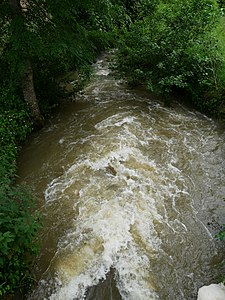 Die Donzelle unterhalb der Mühle von Saute-Mouton