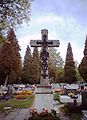 Cemetery in Drogomyśl