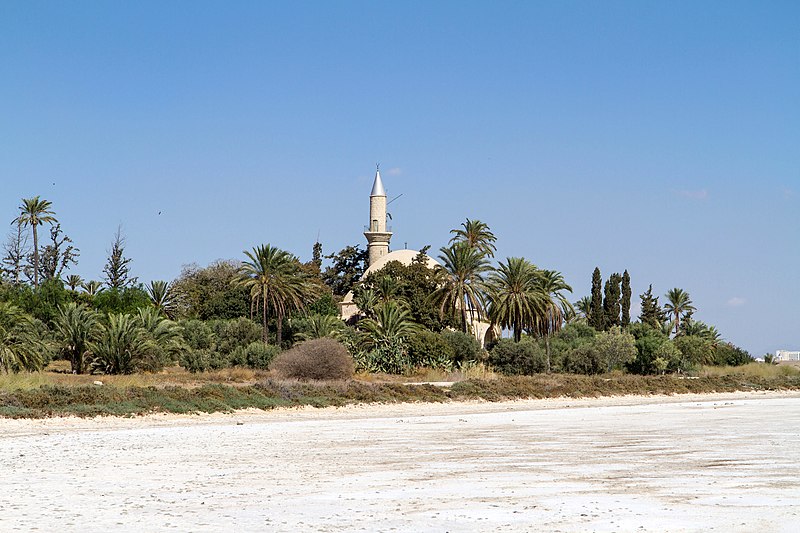 File:Dromolaxia, Cyprus - panoramio (1).jpg