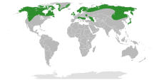 Dryas distribuzione.svg