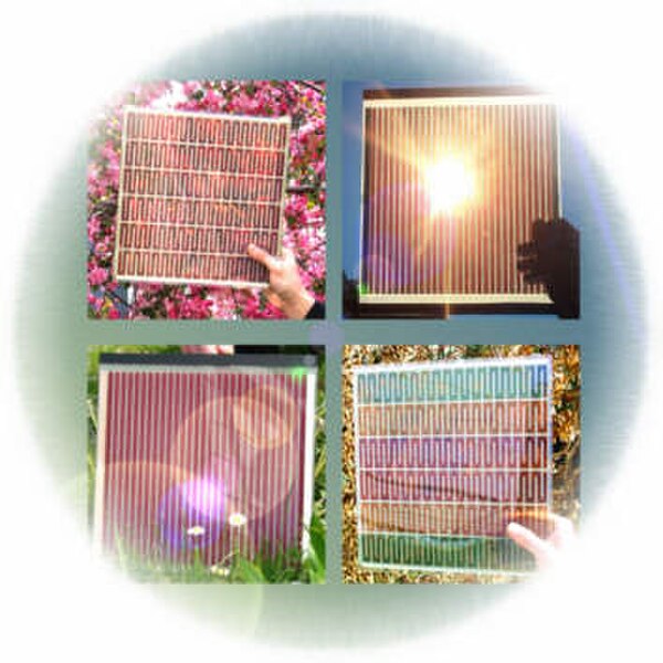 A selection of dye-sensitized solar cells.